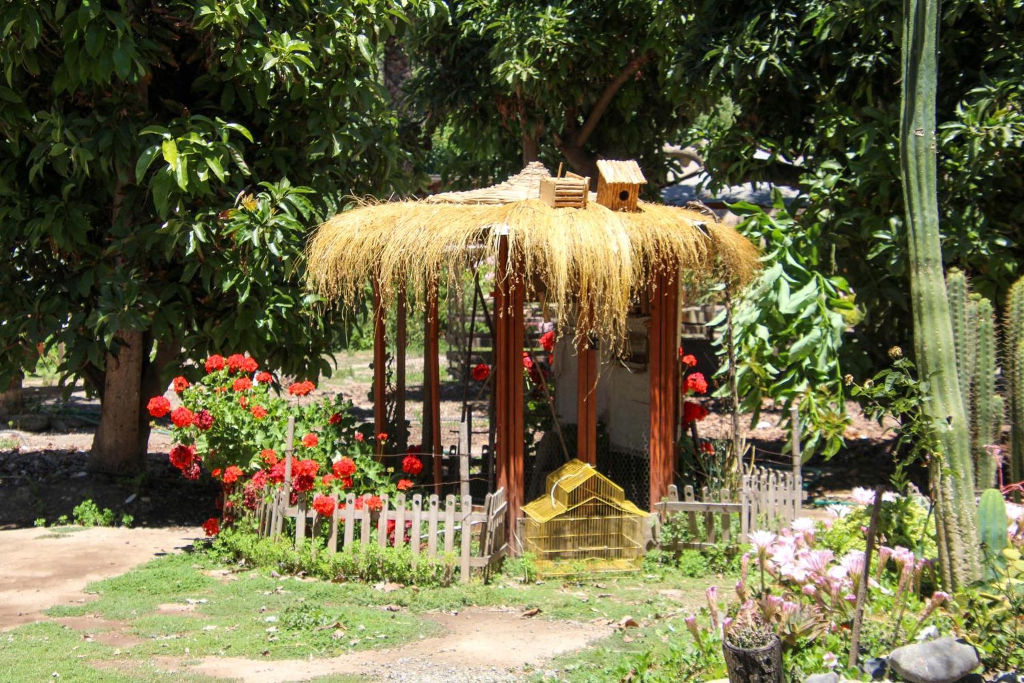 Alojamiento Rural Casa Quinta Peumayen Isla de Maipo Exterior photo